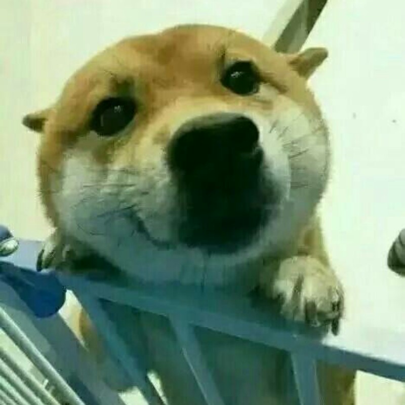书虫在此
