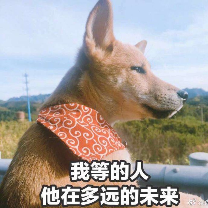 海会不会不蓝
