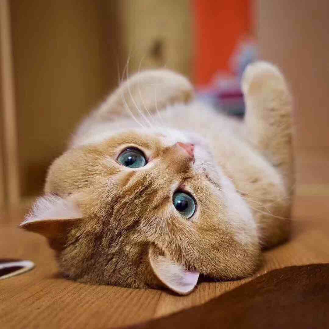 书友20170202130353